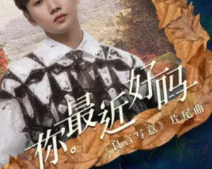 最新电视剧主题曲的魅力与深远影响力