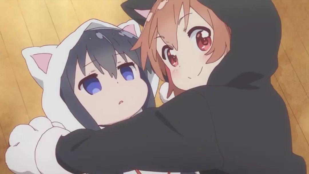 最新百合番，青春之花的绚烂绽放