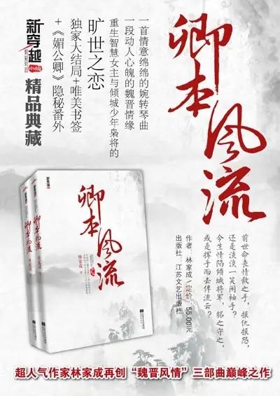 林家成最新小说探秘，引人入胜的佳作