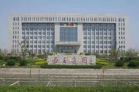 西王集团最新消息全面解读与分析