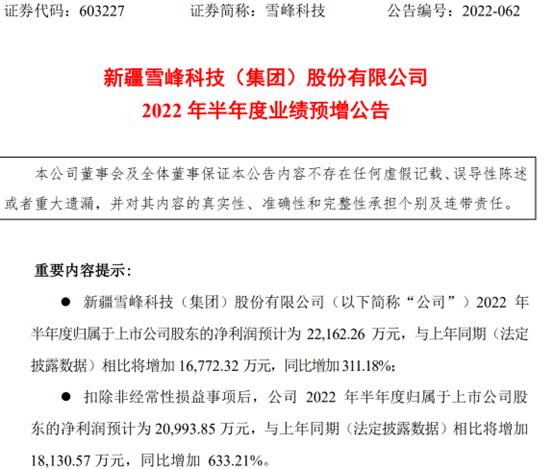 雪峰科技最新消息深度解读