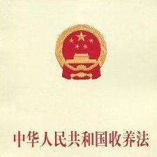 最新收养法，构建公正与人性化的社会关爱新体系