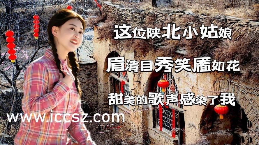 最新伦理在线播放内容探讨，网络时代的伦理边界与道德挑战