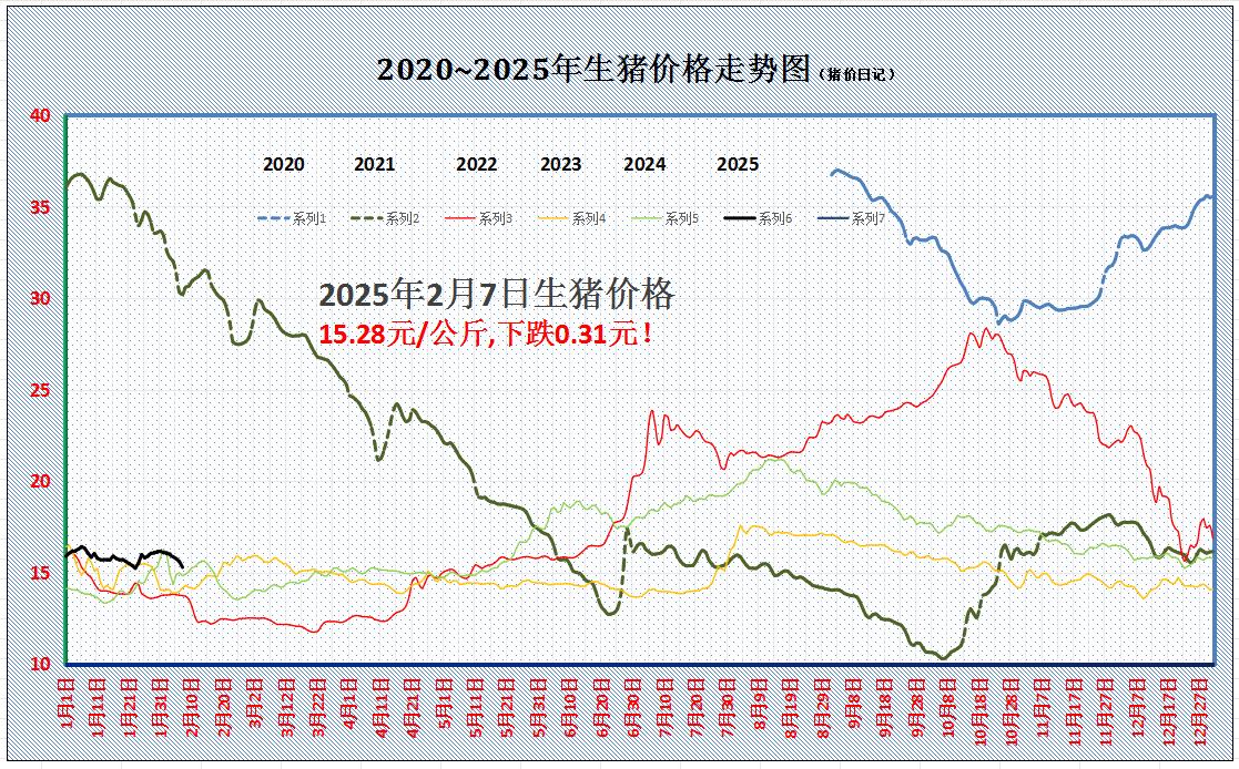 猪的最新价格行情解析