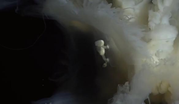 深海水族馆最新版，开启神秘海洋新纪元探索之旅