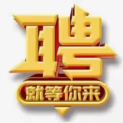 壶镇招聘网最新招聘动态全面解读