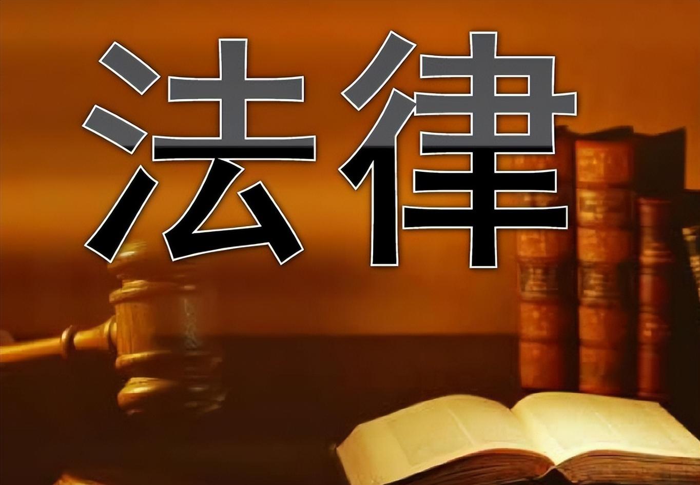 最新法律法规重塑社会秩序与法治环境新篇章