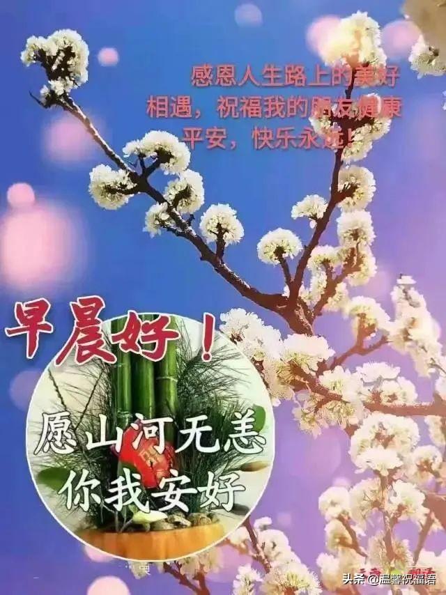 洛白风