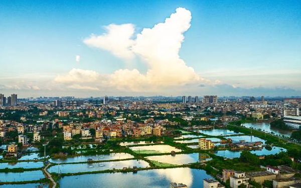 勒流新貌，城市焕新引领未来潮流发展动态
