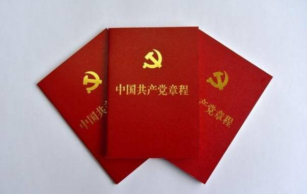 最新党章总纲引领下的党的建设与发展新篇章