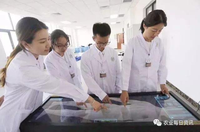 医学定向生政策最新动态，培养医疗人才的策略与未来展望
