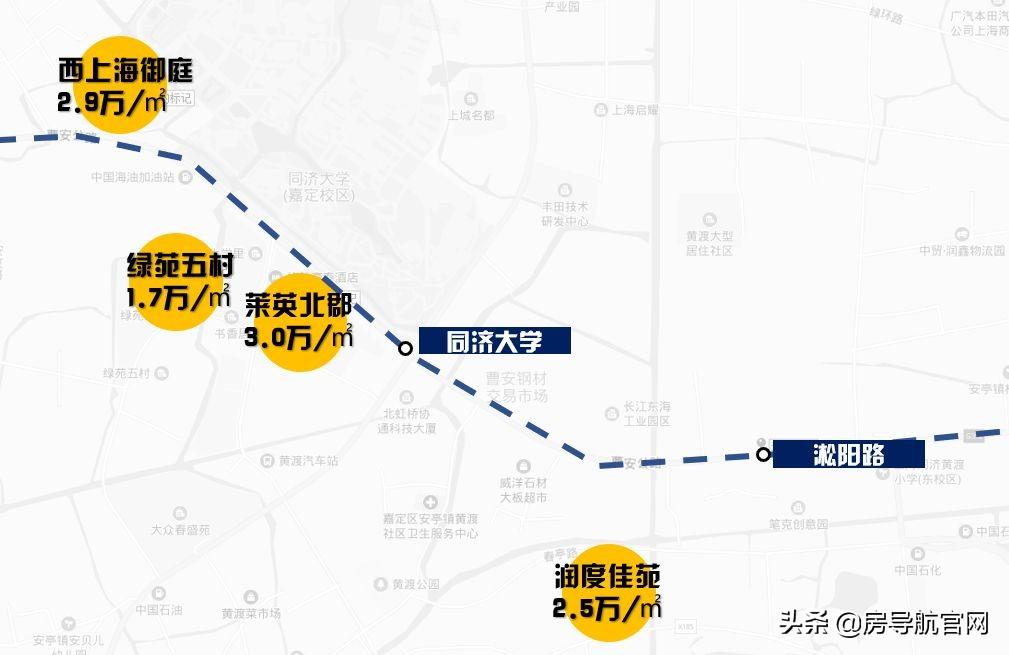 上海黄金价格最新动态与市场趋势解析