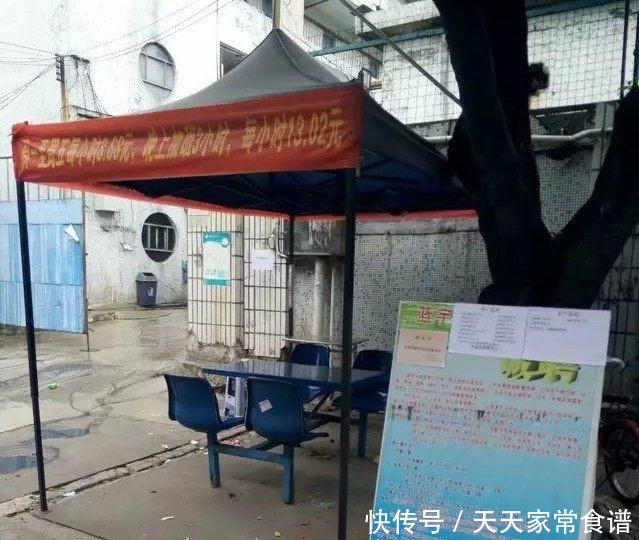 厚街电子厂招聘启事，探索职业发展的理想平台
