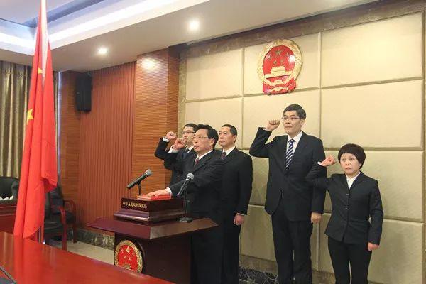 成都最新人事任免动态概览