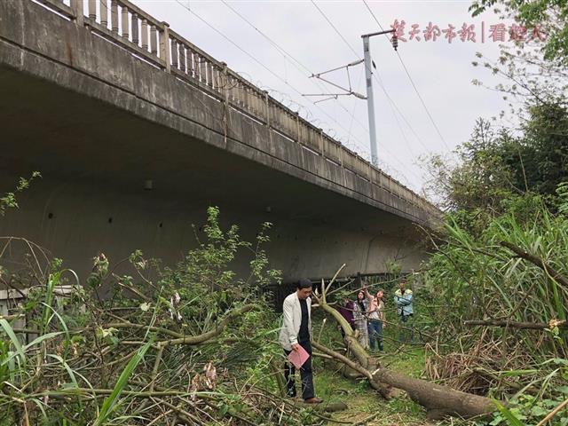 铁路晚点最新动态与影响深度解析